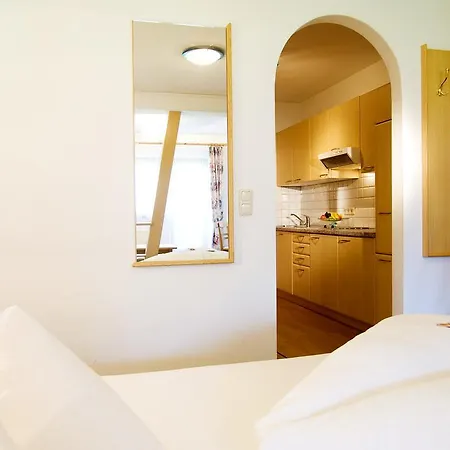 Alpin-hotel Schrofenblick 호텔 메이른호픈